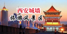 逼逼阴户毛茸茸偷拍中国陕西-西安城墙旅游风景区